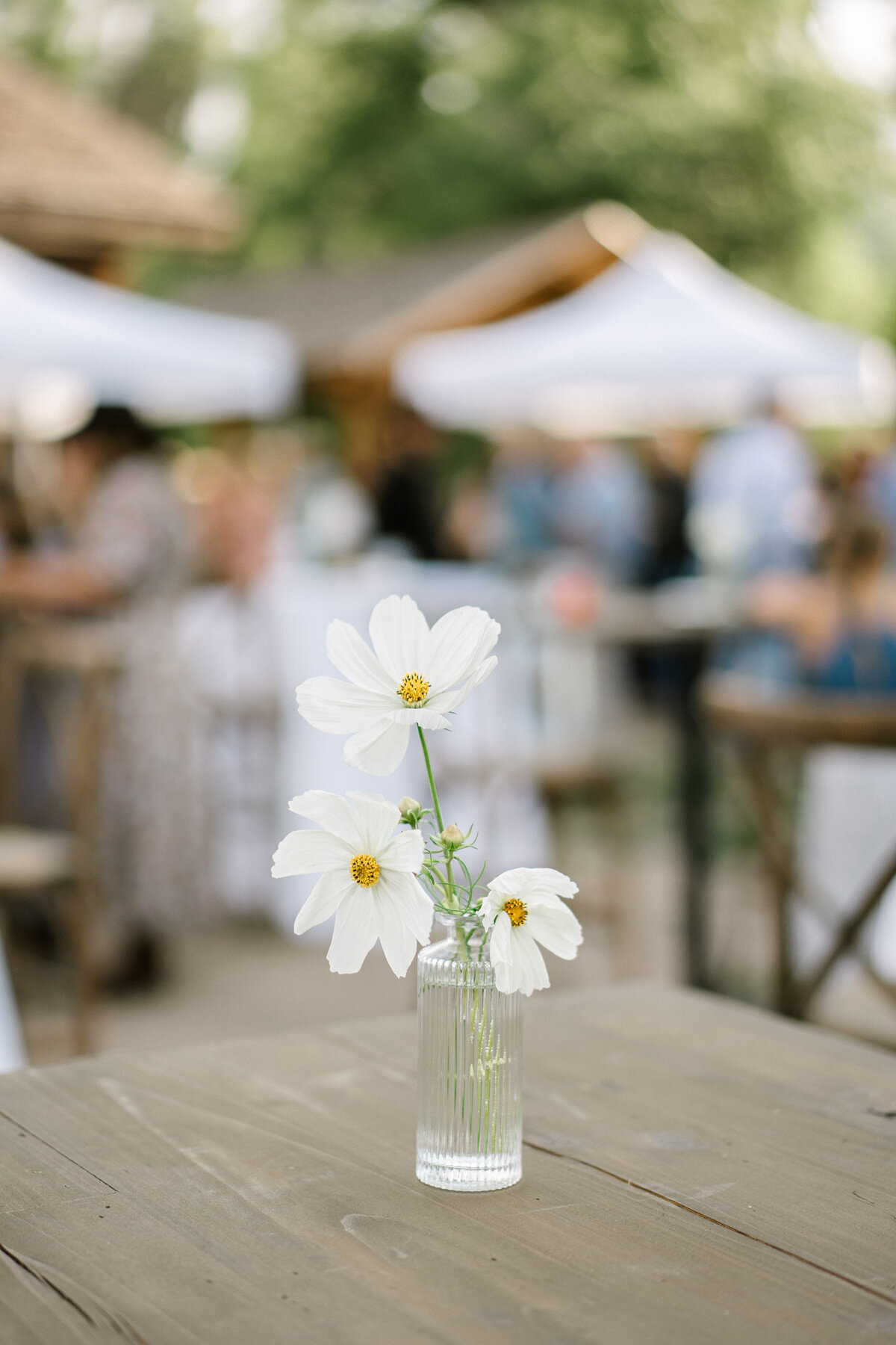 AspenWelcomeParty_0010