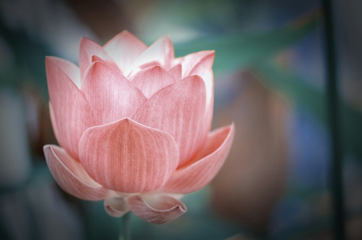 unsplash-image-ZDfXB6LKjvw