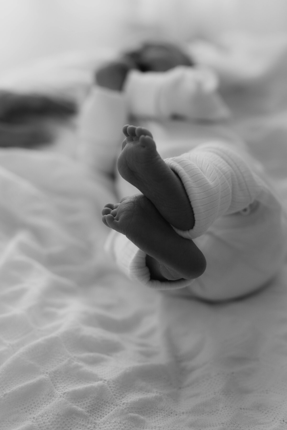 newborn photography cairns