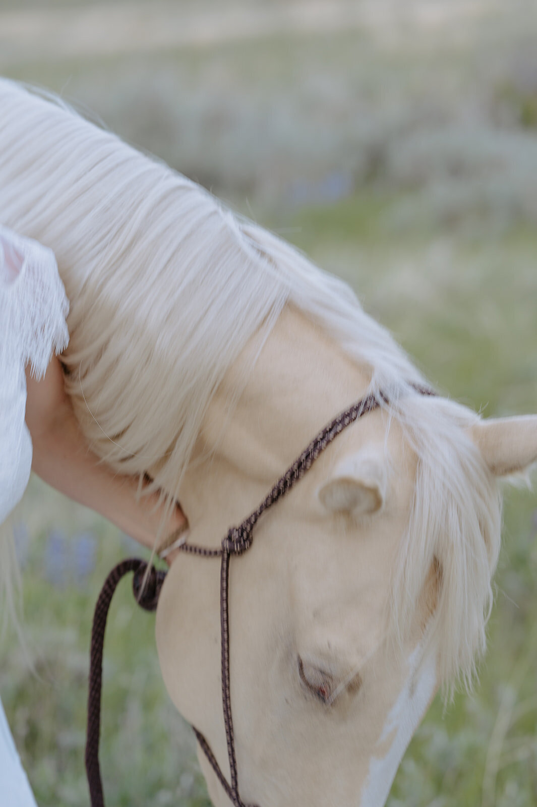 Carly-Patrick-Sheridan-Wyoming-Elopement-312