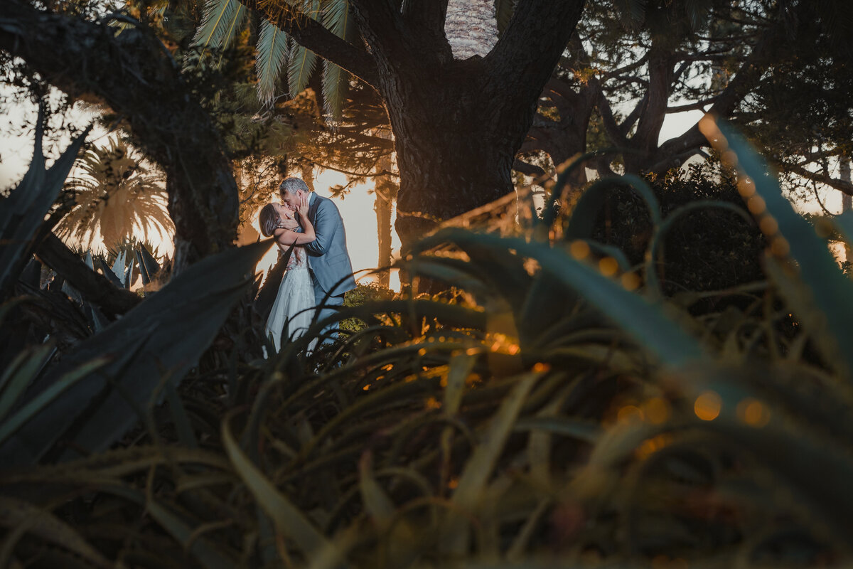 Jennifer + Brian Wedding Romantics-68