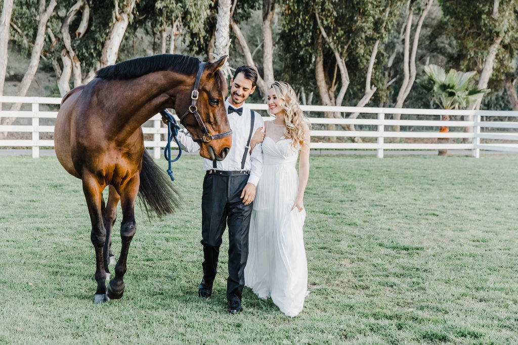 Beautiful Equestrian ROmance at Albert Court in California