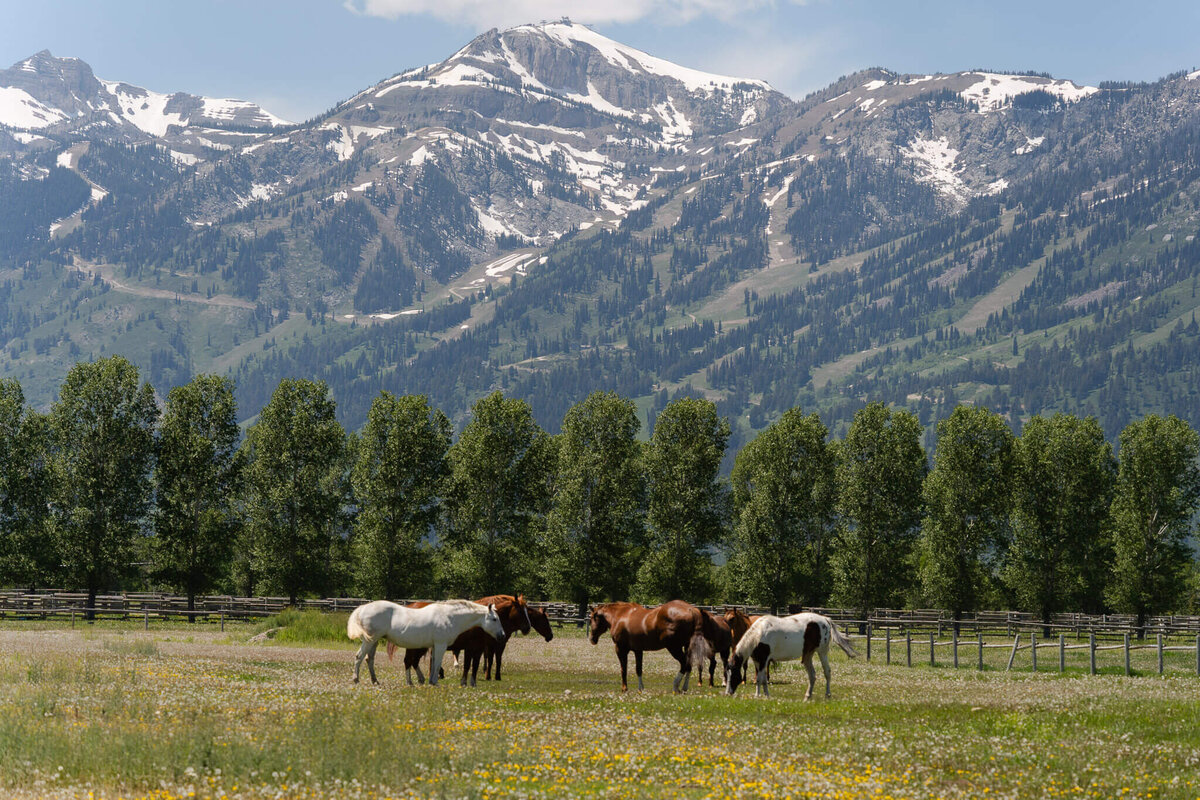 Wyoming-Elopement-Photographer-02