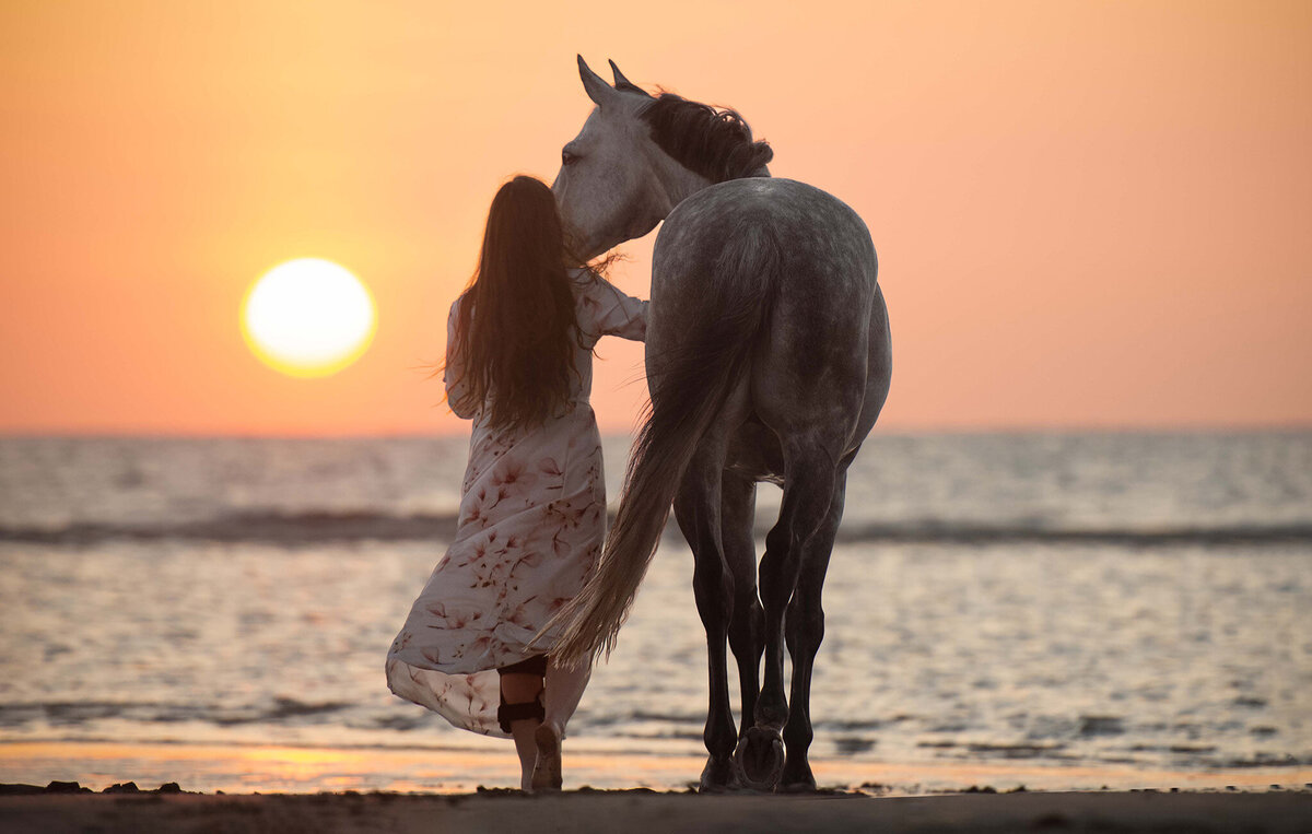 zonsondergang strand paardfotoshoot