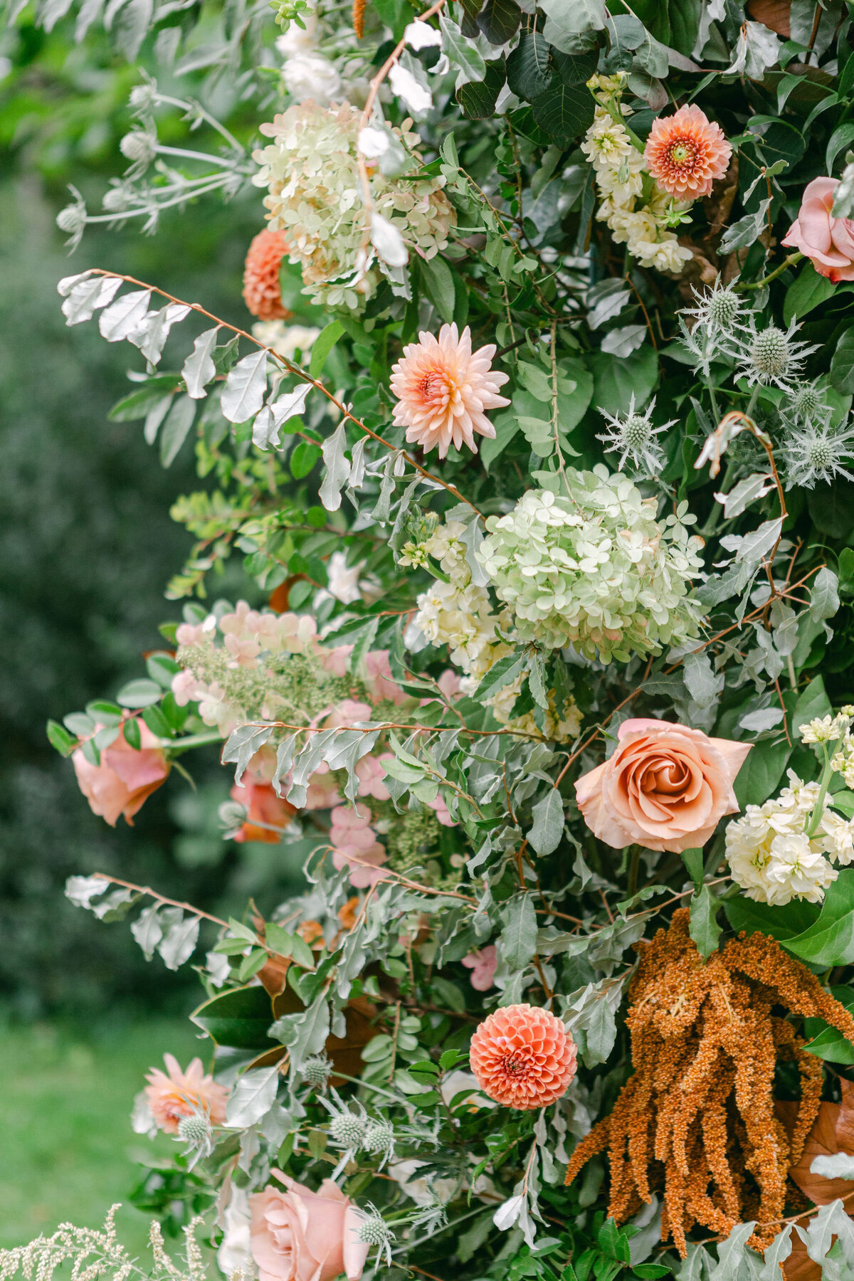 MikitshWedding_SCP-491