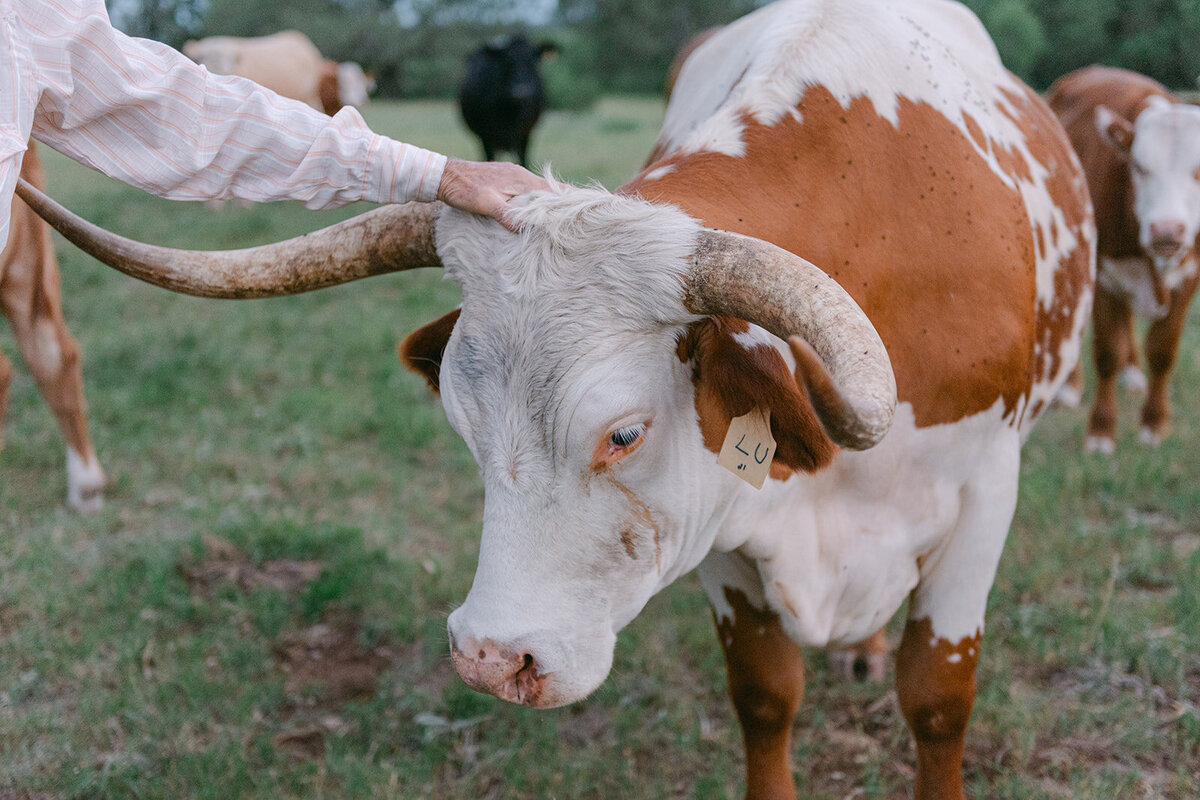 Luxury_Wedding_Photographer_Texas_Erin_Marcin_Photography_Film-140