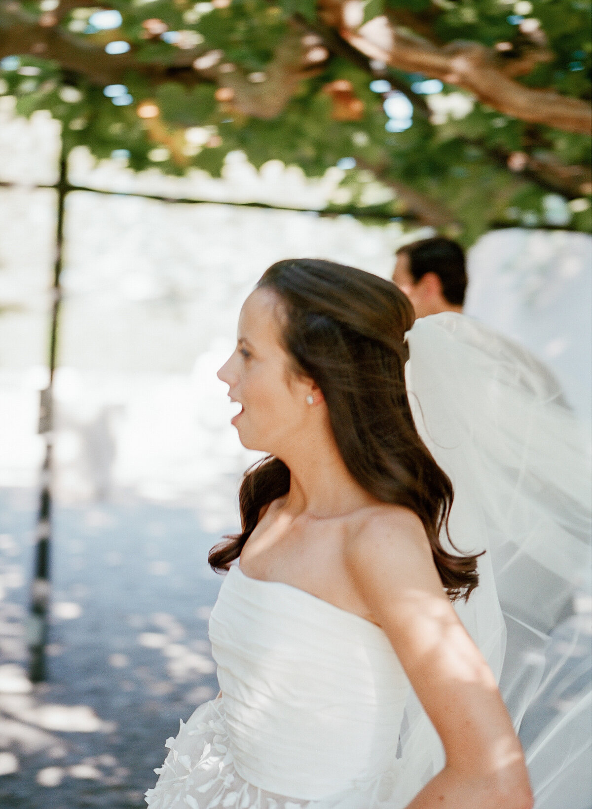meg-smith-napa-wedding-beaulieuu-garden00128