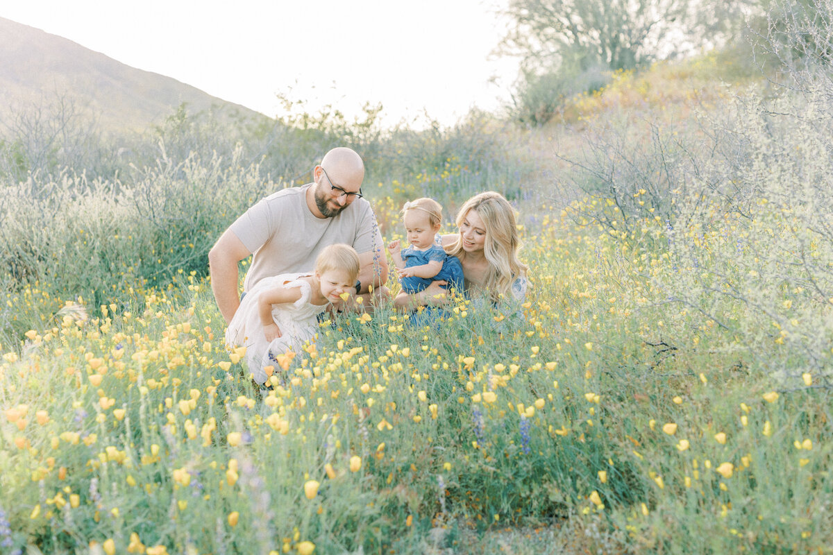 wildflower_family_session_arizona