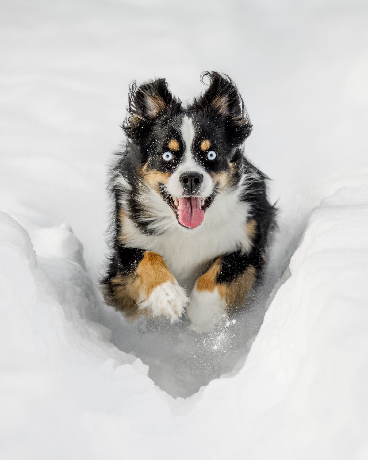 3K7A6279-Edit-2-Edit