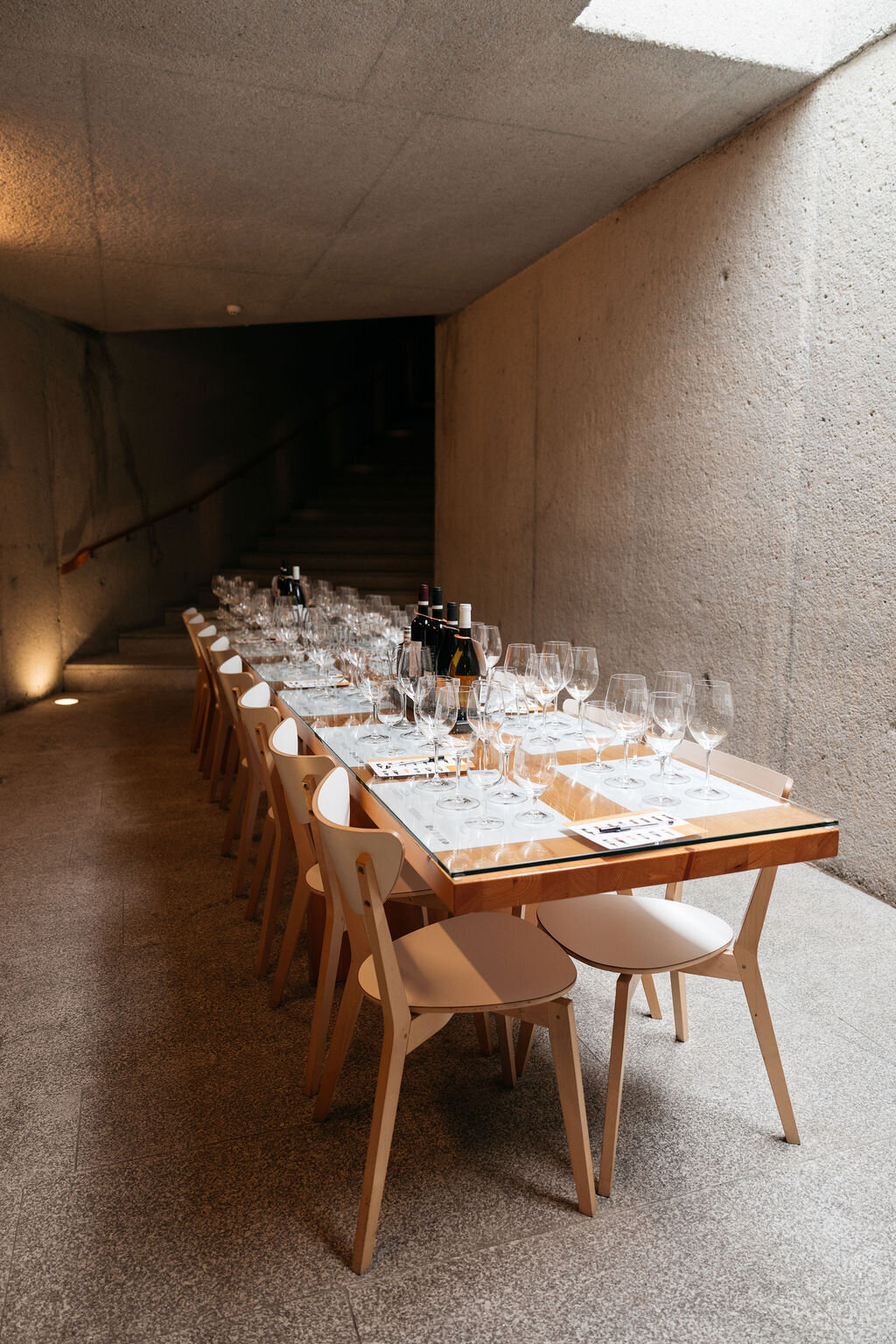 Illuminare-Porto-2025-996