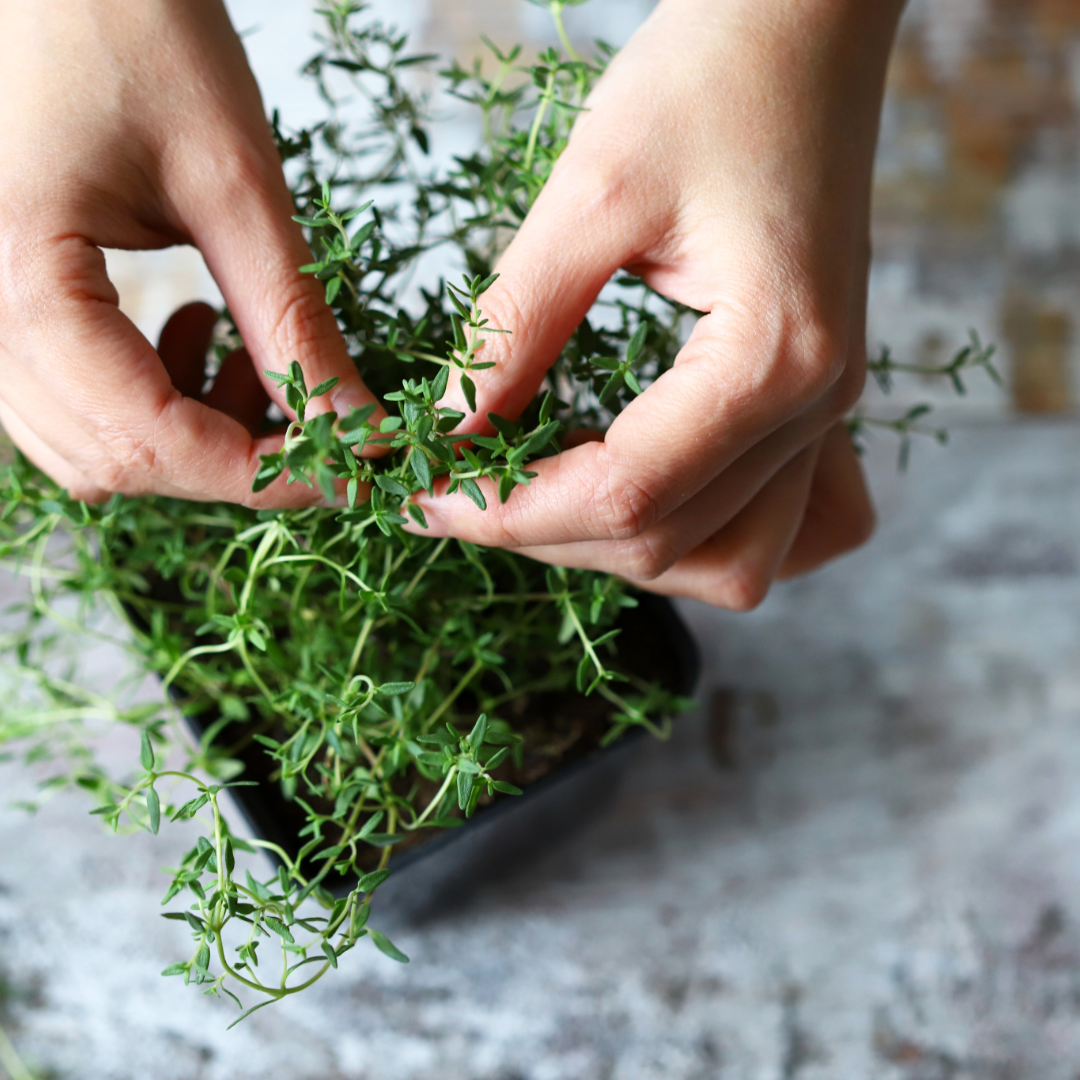 wellness photos march-15