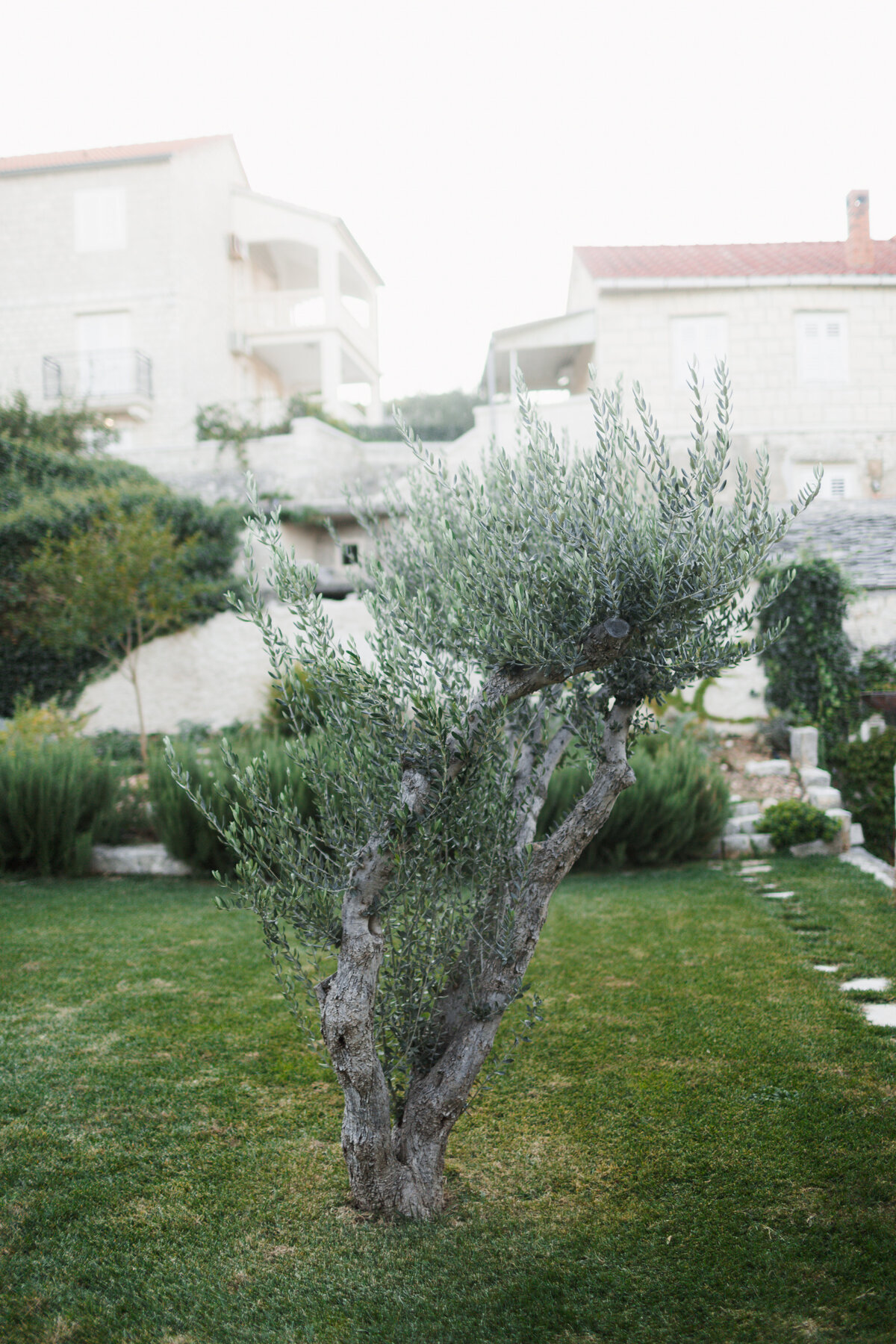 Split Croatia Wedding Photographer 5