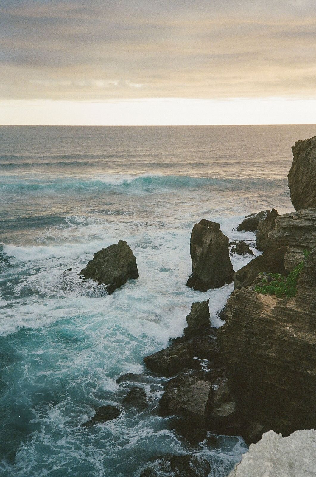 Ami-Shauna-Kauai-Elopement-Tunnels-Beach-1-Hotel-Hanalei-Film-Photography-by-Alexandra-Masihy-17