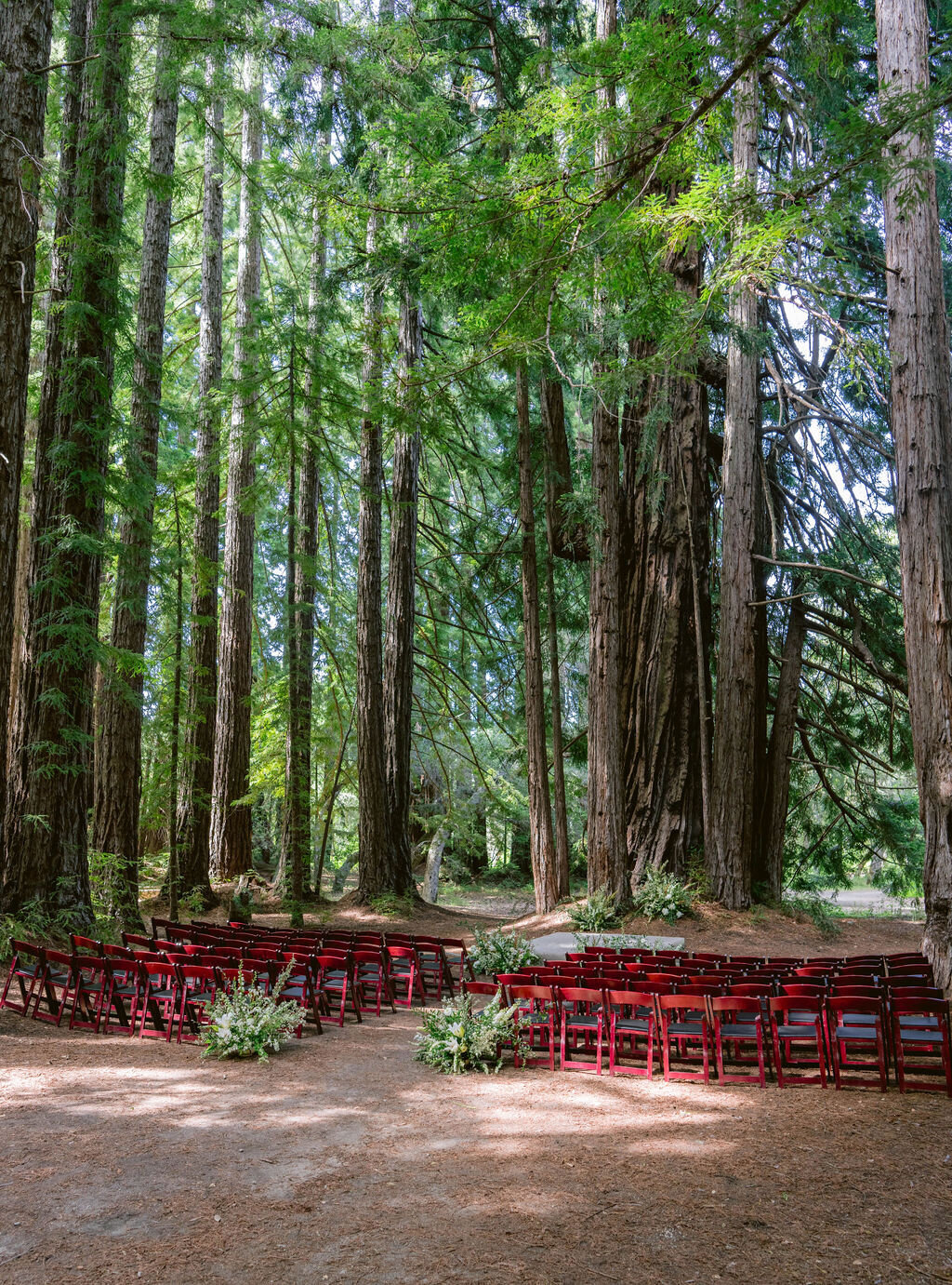 CHANDA DANIELS PLANNING & DESIGN (5)