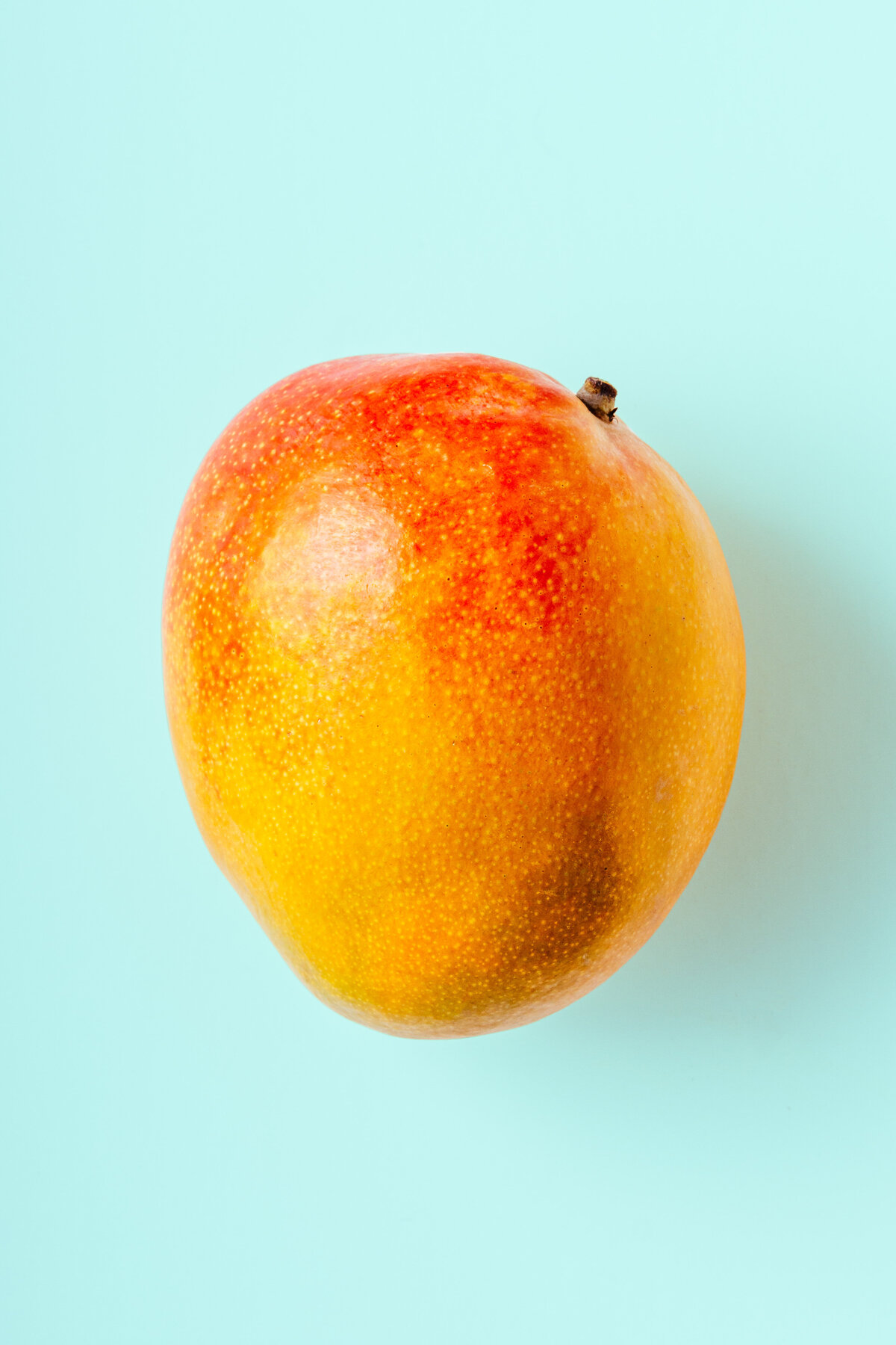 Mango Coloricious Food Photography