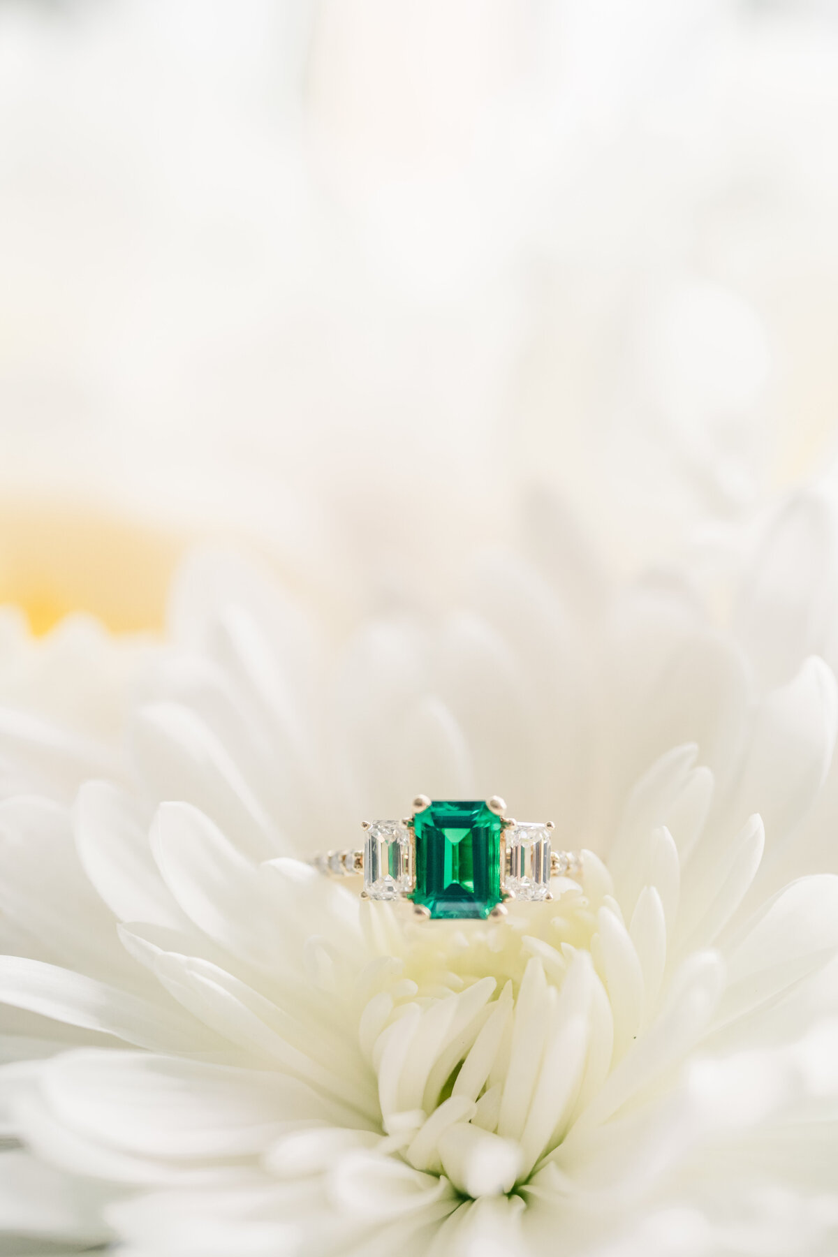 Kentucky spring wedding at my old ky home florals emma v photography wedding party portraits ideas photographer detail photos flat lay  florals rings
