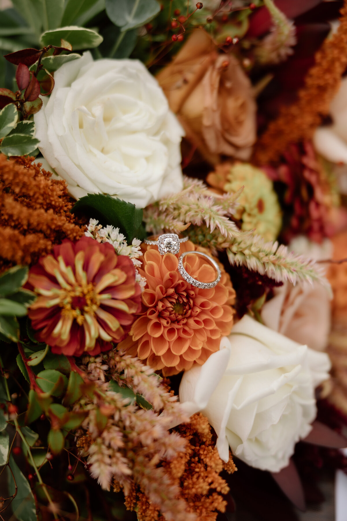 Lemons Photography 1 