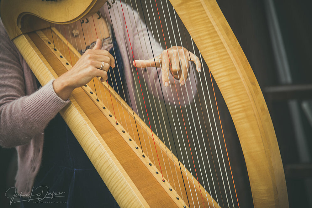 A woman playing a harp on a stage