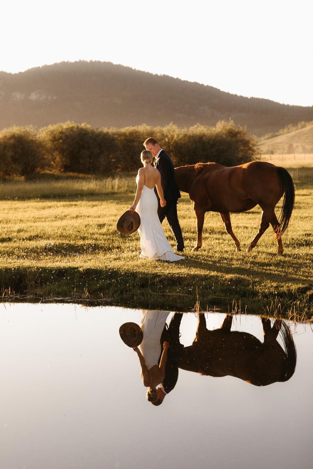 Diamond-Cross-Ranch-wedding-Sunset-with-horse