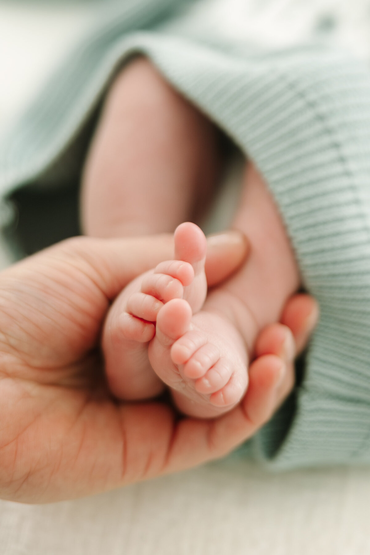 Hemans Newborn - Hudson-88