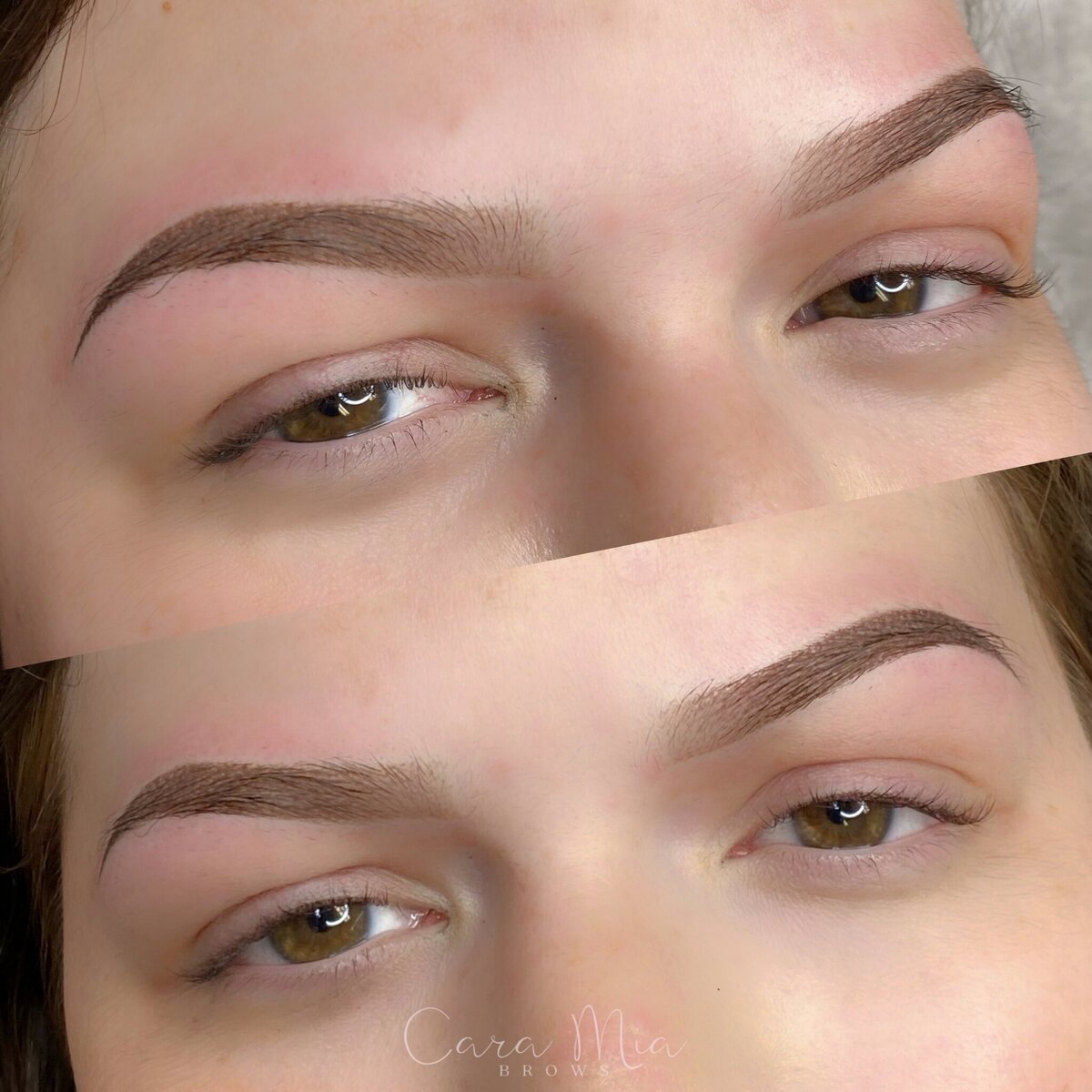 Ombre Powder Brows before and after
