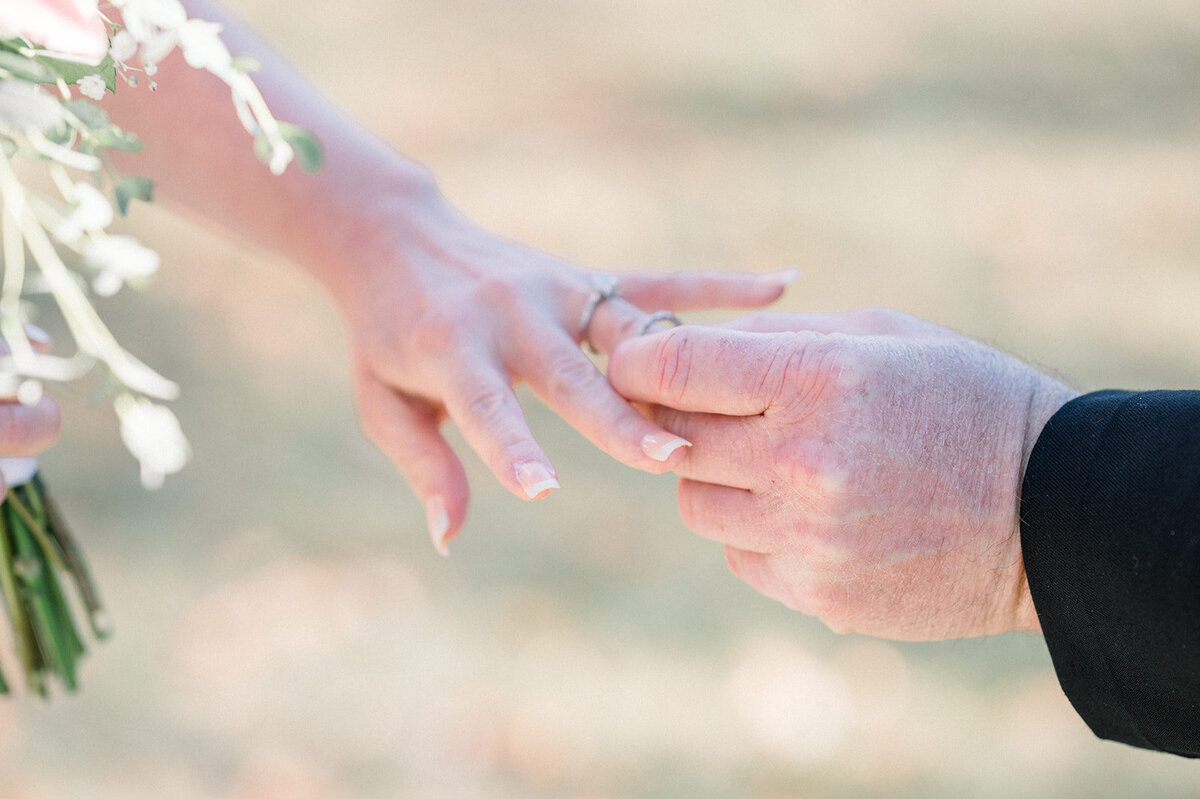 carmen_may_photography_ohiopyle_pa_elopement-45
