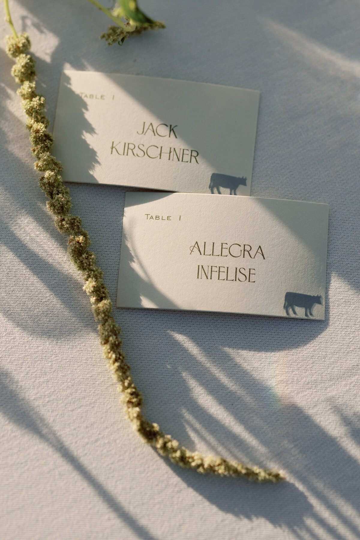 Dallas Wedding Photographer-9