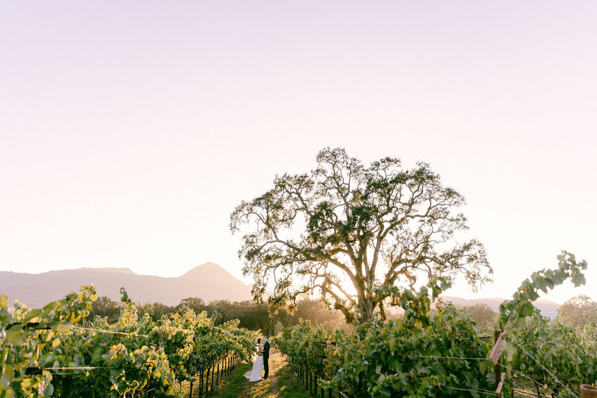 065-larissa-cleveland-wedding-california-photographer-destination-event