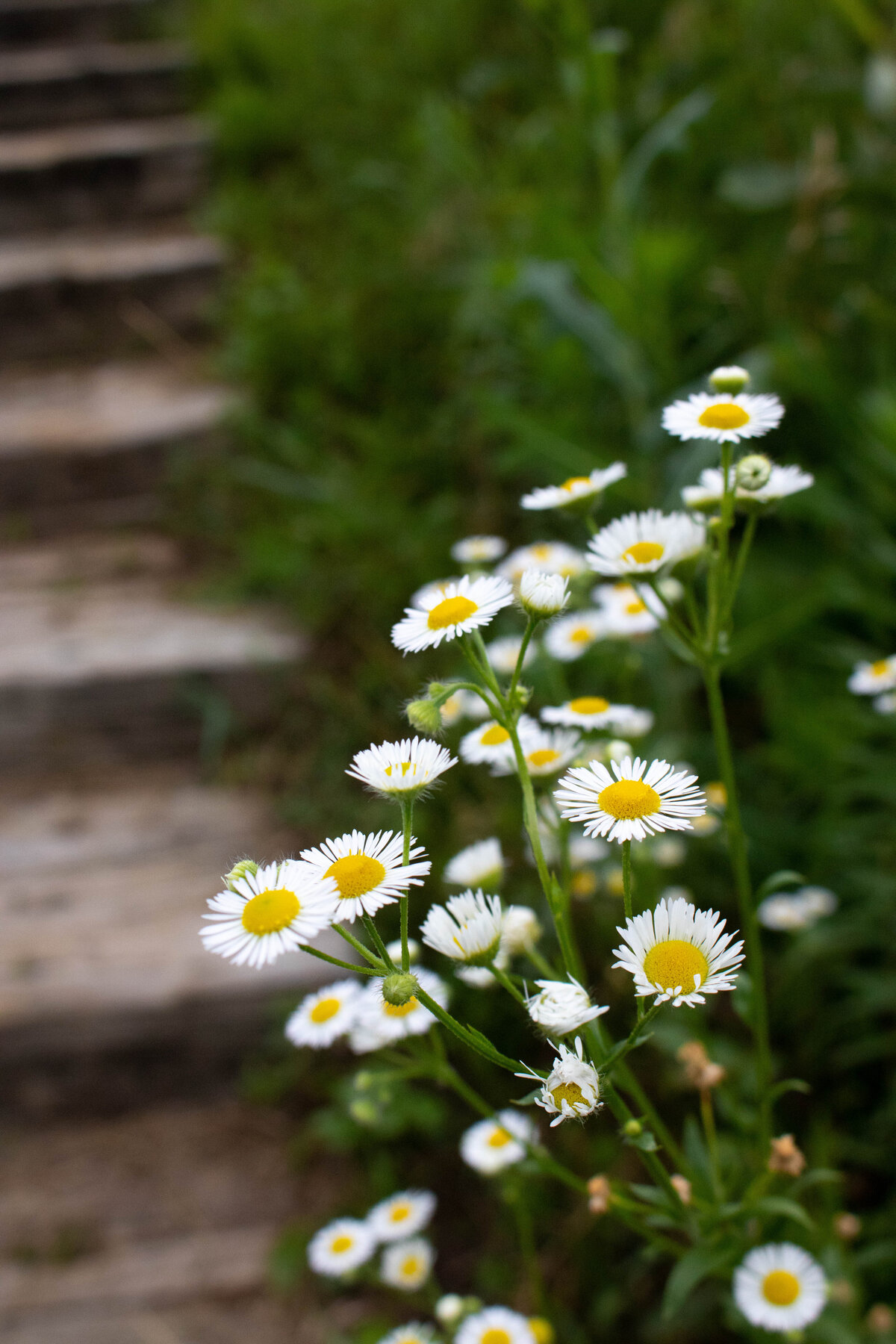 2021.07.12-14_SbE_Galena_021