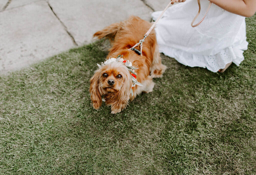 Hattie-Grey-Marquee-Court-Wedding-Flowers-Issy-And-Bella-Florist-Herefordshire8