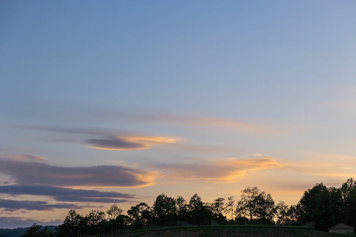 BokelmanWedding-VenueCarDetails-30