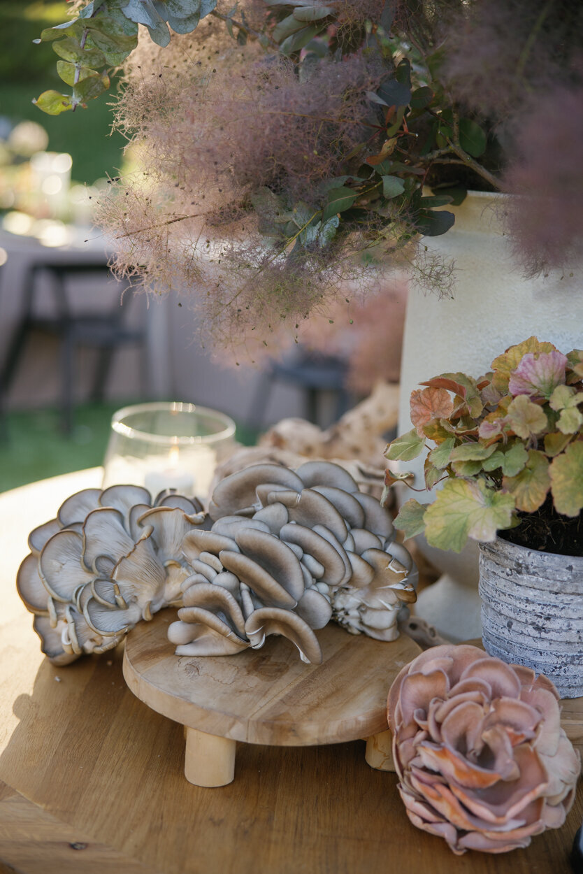 AnyaKernes_Villa_Sancti_Malibu_Weddings_by_Susan_Dunne_Destination_Wedding_Planner-7