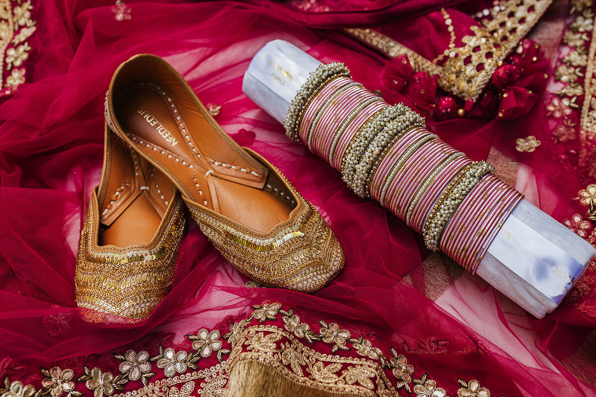 North Saplings Photography - Punjabi Indian Wedding in Ottawa22