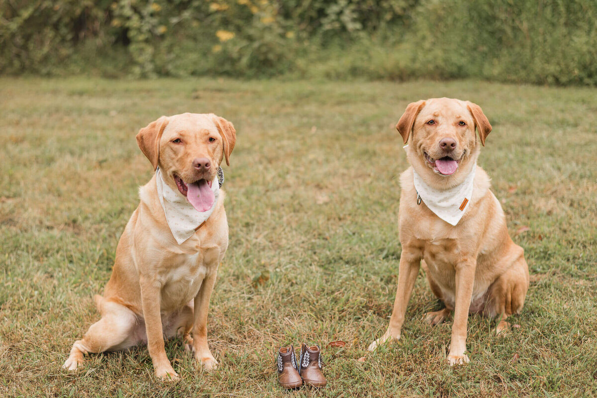 Pittsburgh-Family-Photographer-LLP-46
