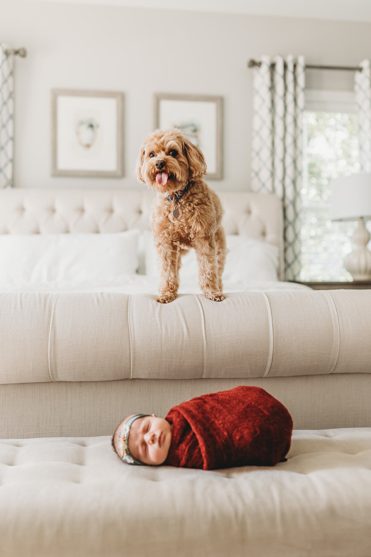 york-lifestyle-newborn-photographer-14