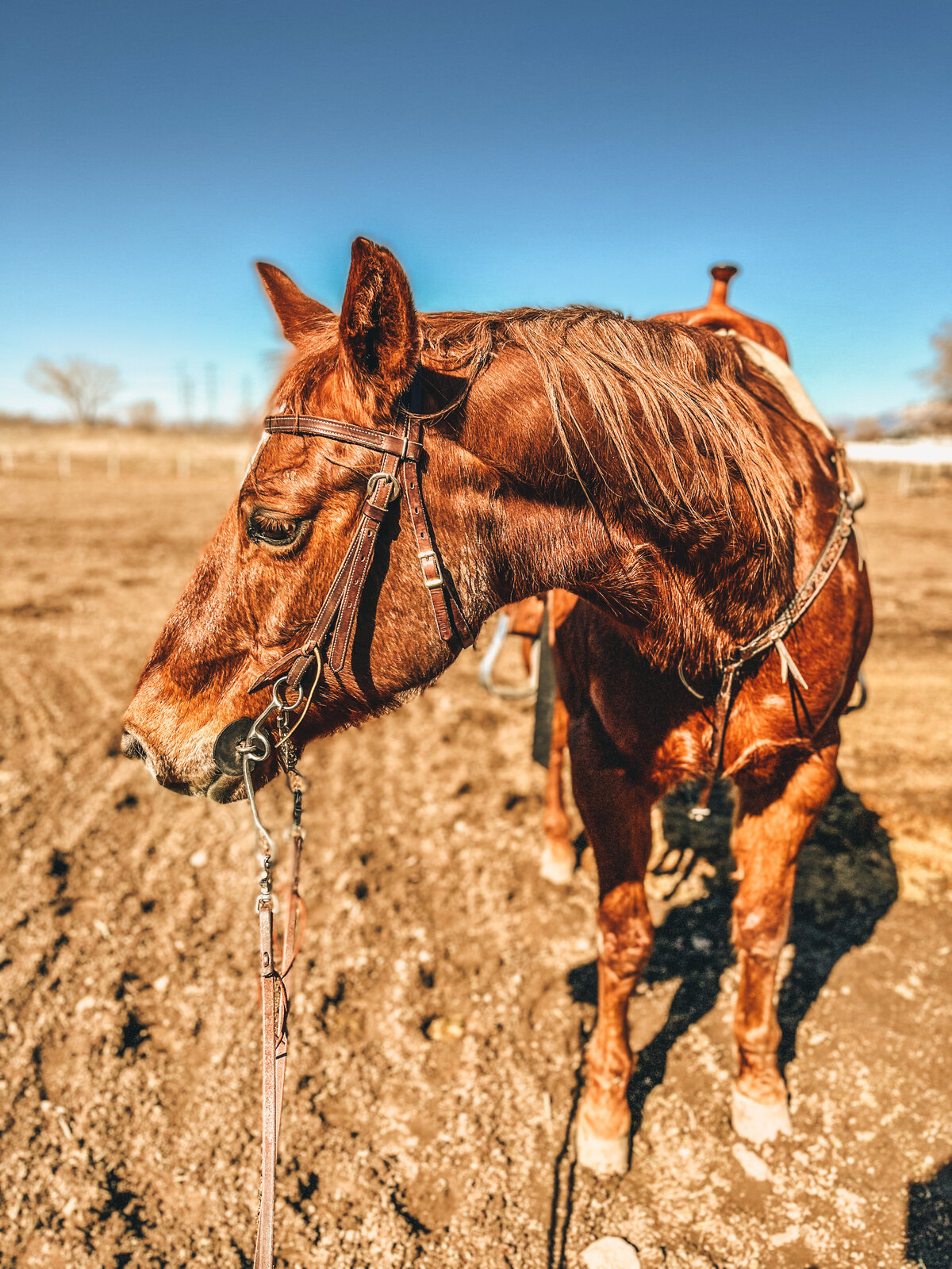 Photo Feb 19 2022, 1 16 31 PM