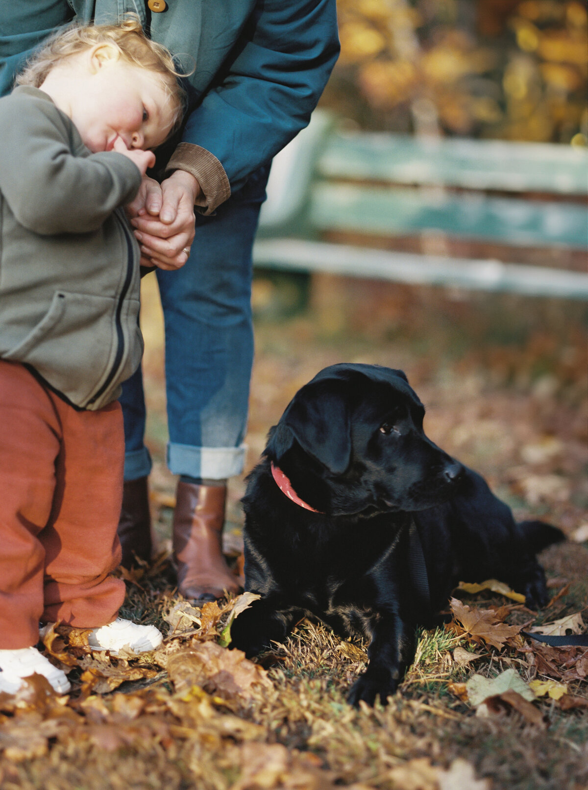Annie-David-2024-FallMiniSession-13