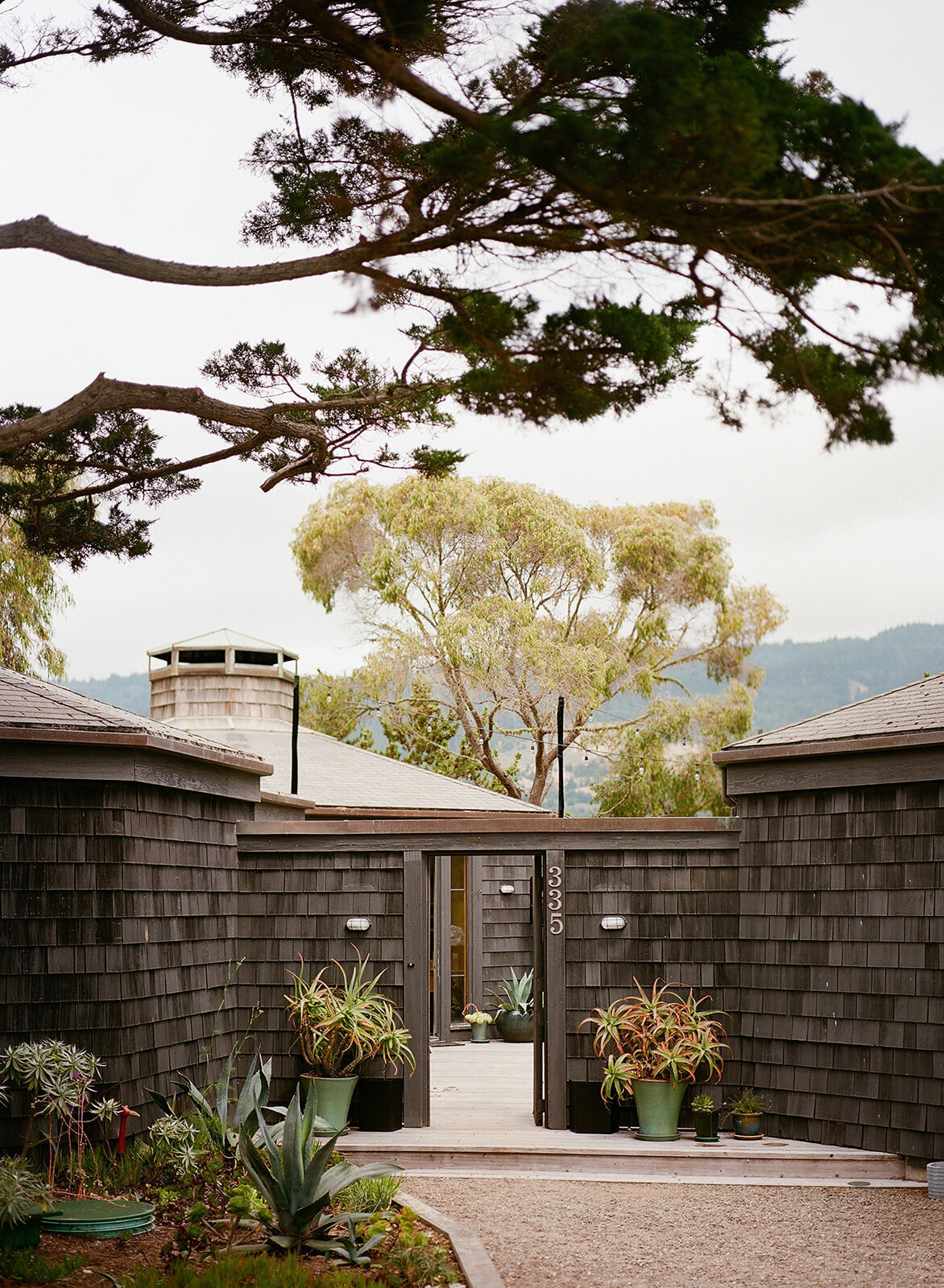 stinson-beach-backyard-wedding-planning-and-design-jacinda-weddings-and-events-01