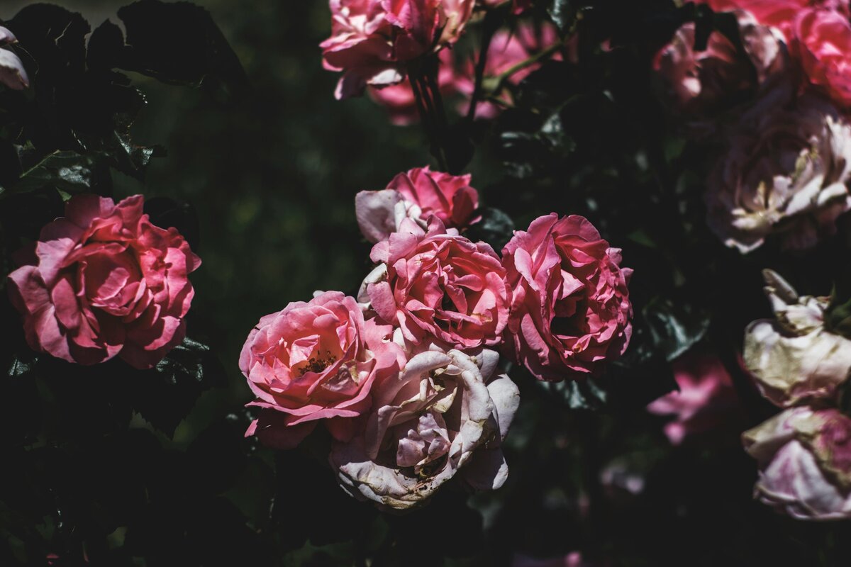 Trauma Specialist NYC | The Manhattan Psychotherapy Co.