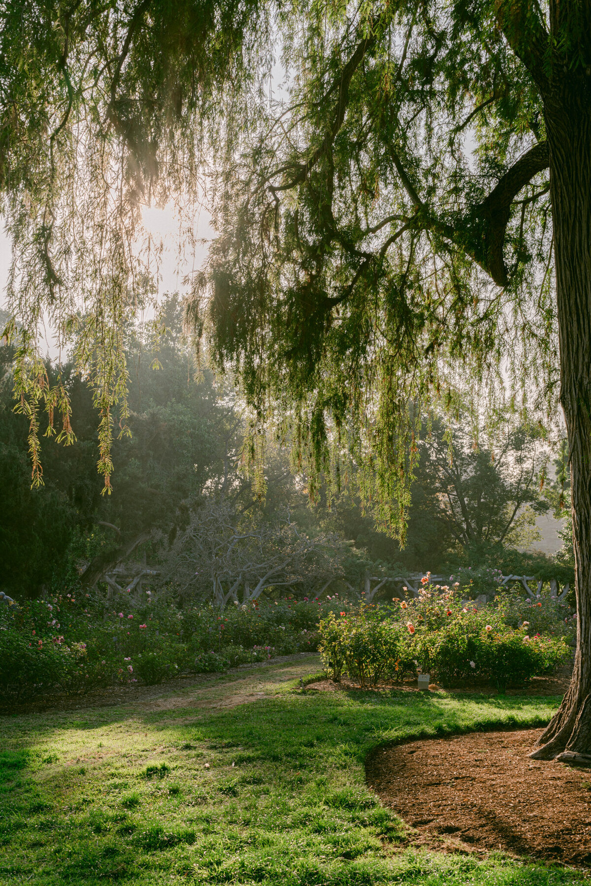 A refined editorial inspired by the timeless beauty of the weeping willows for Lunar New Year, set against the historic gardens of The Huntington Library in San Marino, California. Infused with rich cultural heritage and modern sophistication, this shoot captures the harmony of tradition and luxury through an artful, editorial lens. Photographed by Michael Asmussen, an internationally recognized top destination wedding photographer specializing in luxury celebrations and fashion editorials. Discover more of Michael’s work in Palm Springs, Los Angeles, Japan, Las Vegas, Seoul, and beyond