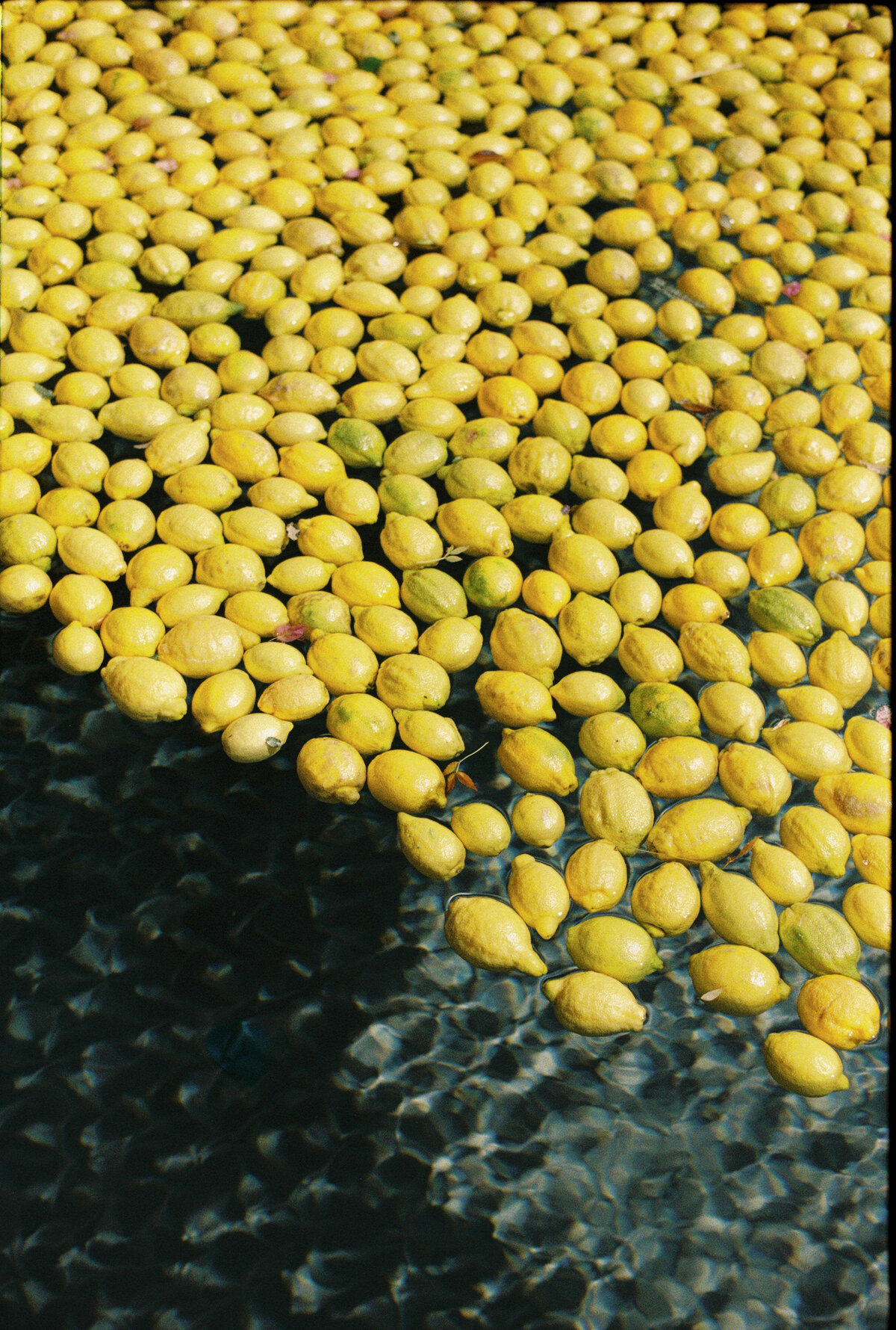 Film-wedding-photography-spain289