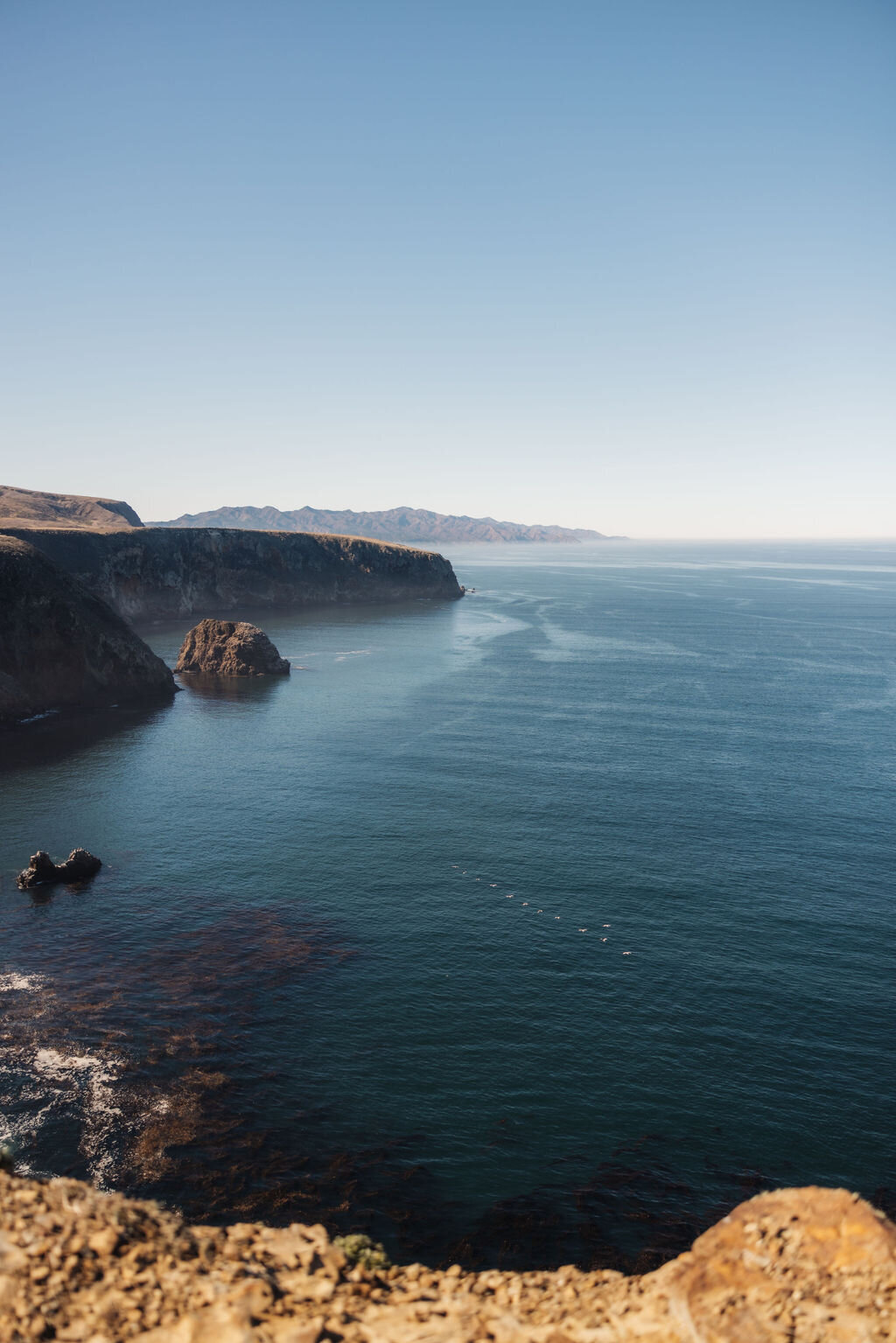 TrevorMorrisonPhoto_0053