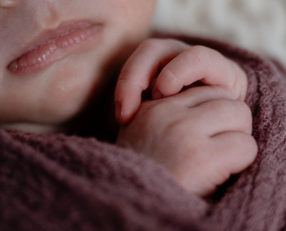 Taylor Elizabeth Photography Weddings and Lifetyle Photographer in Indiana Maternity + Family Photo 20