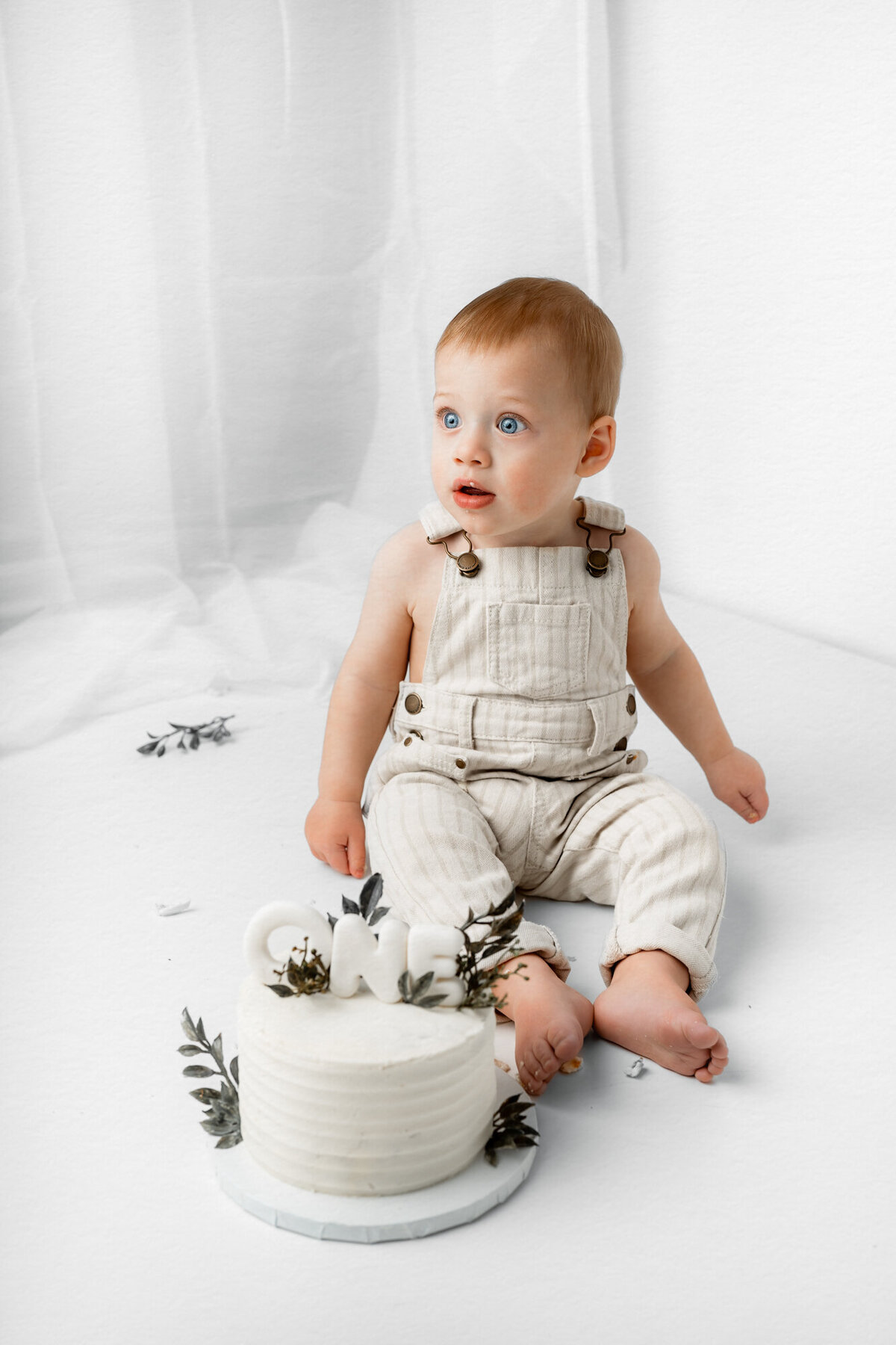 Lake Tahoe-Cake Smash-Photographer-20