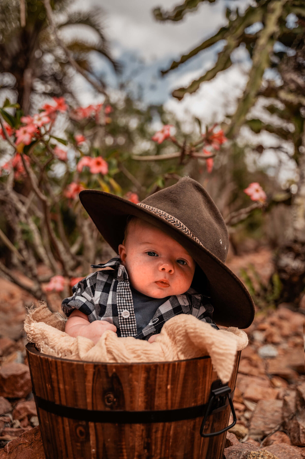 baby boy wearing cowboy hat sitting in wooden bucket in cactus garden - Townsville Child Milestone Photography by Jamie Simmons