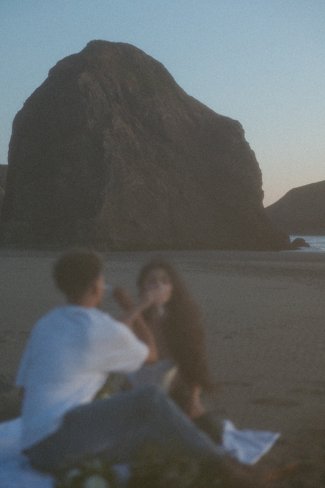 tanya-davids-photo-film-redwoods-california-oregon-coast-documentary-candid-destination-washington-idaho-utah-canada-elopement-wedding-couples-photographer-89