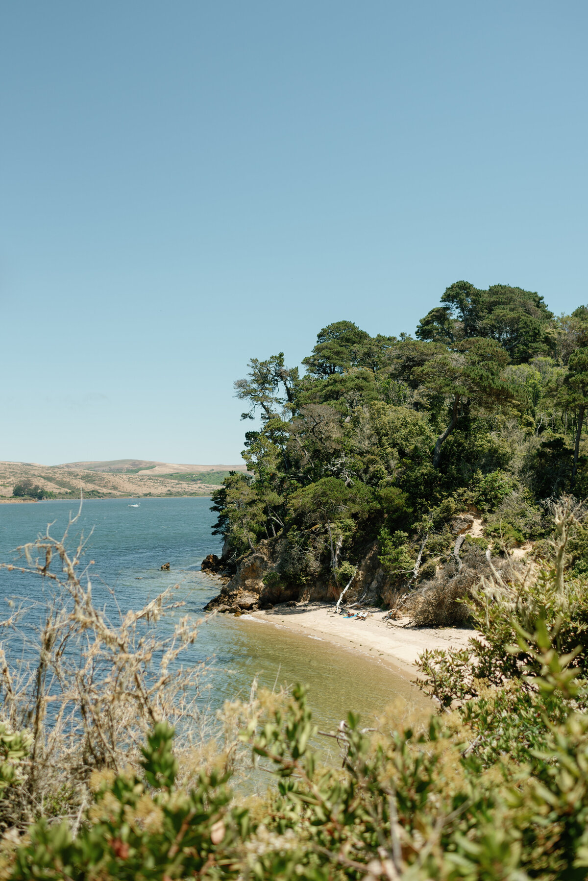 Kelly+Joel-Point-Reyes-Wedding-313