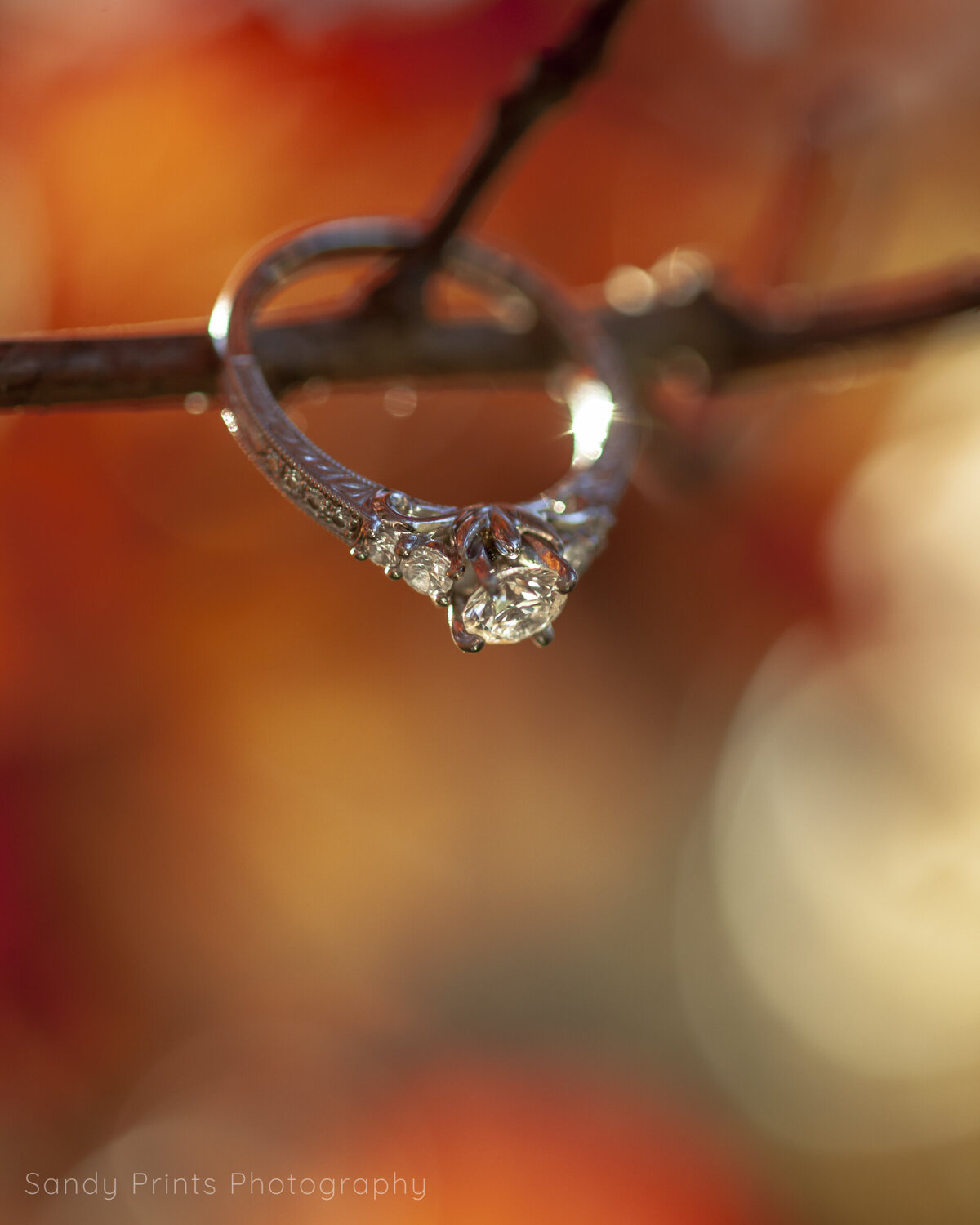 20181021-2018_10-Laura &  Javin Engagement Session 5103