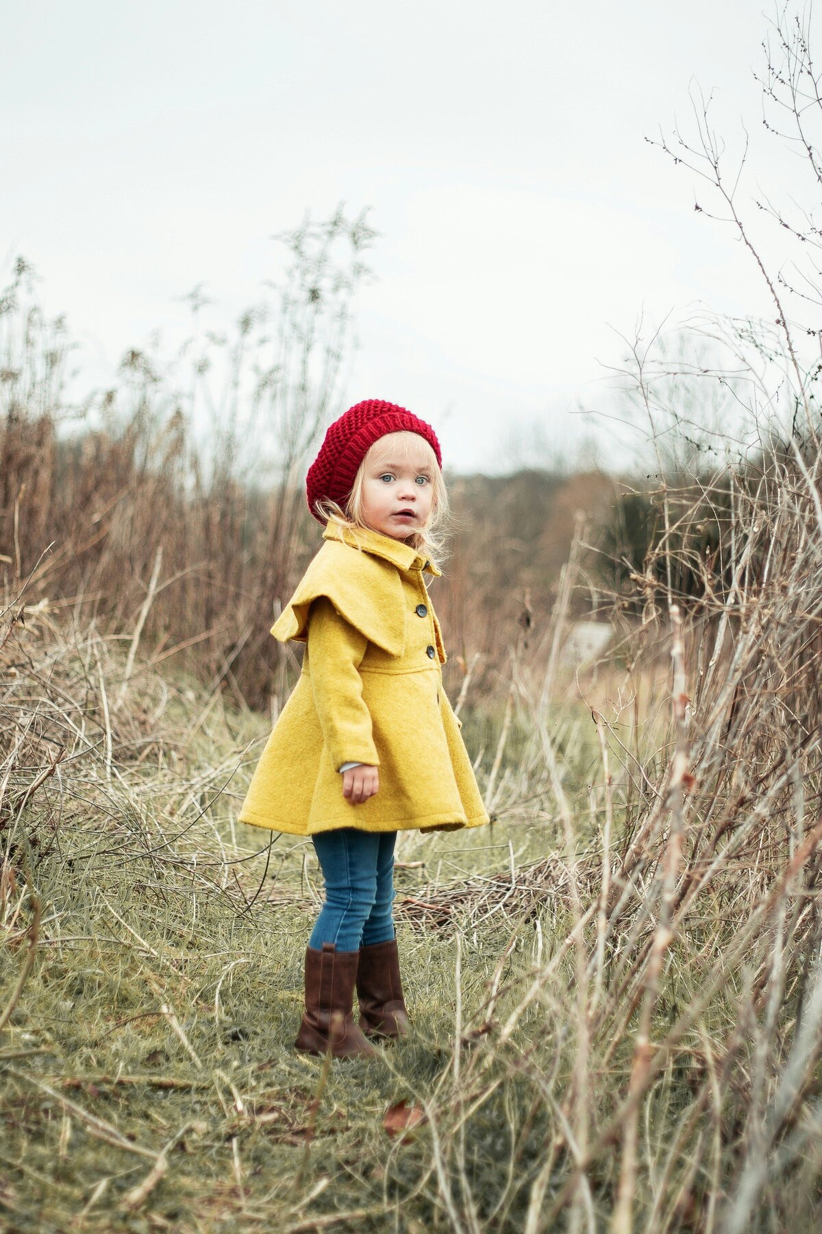 laura-holt-yj-cRqPopPE-unsplash