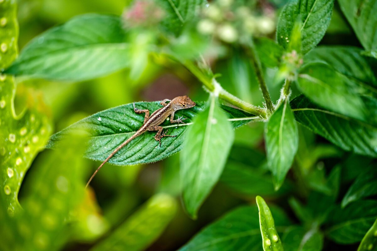 _DSC3875-Edit